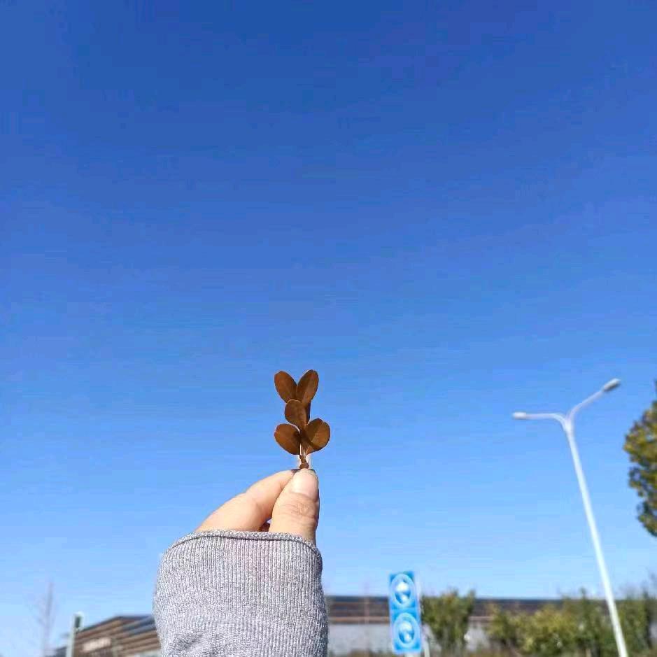你瞳孔的颜色