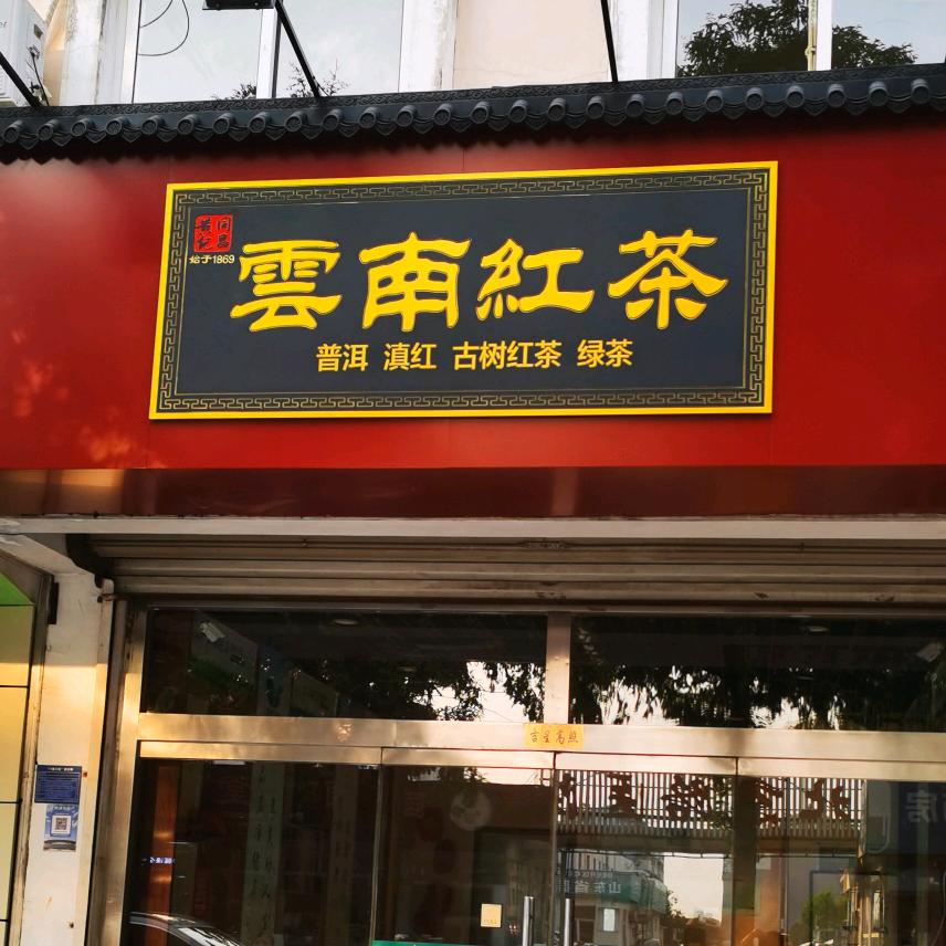 老魏说红茶（16：16下午茶）