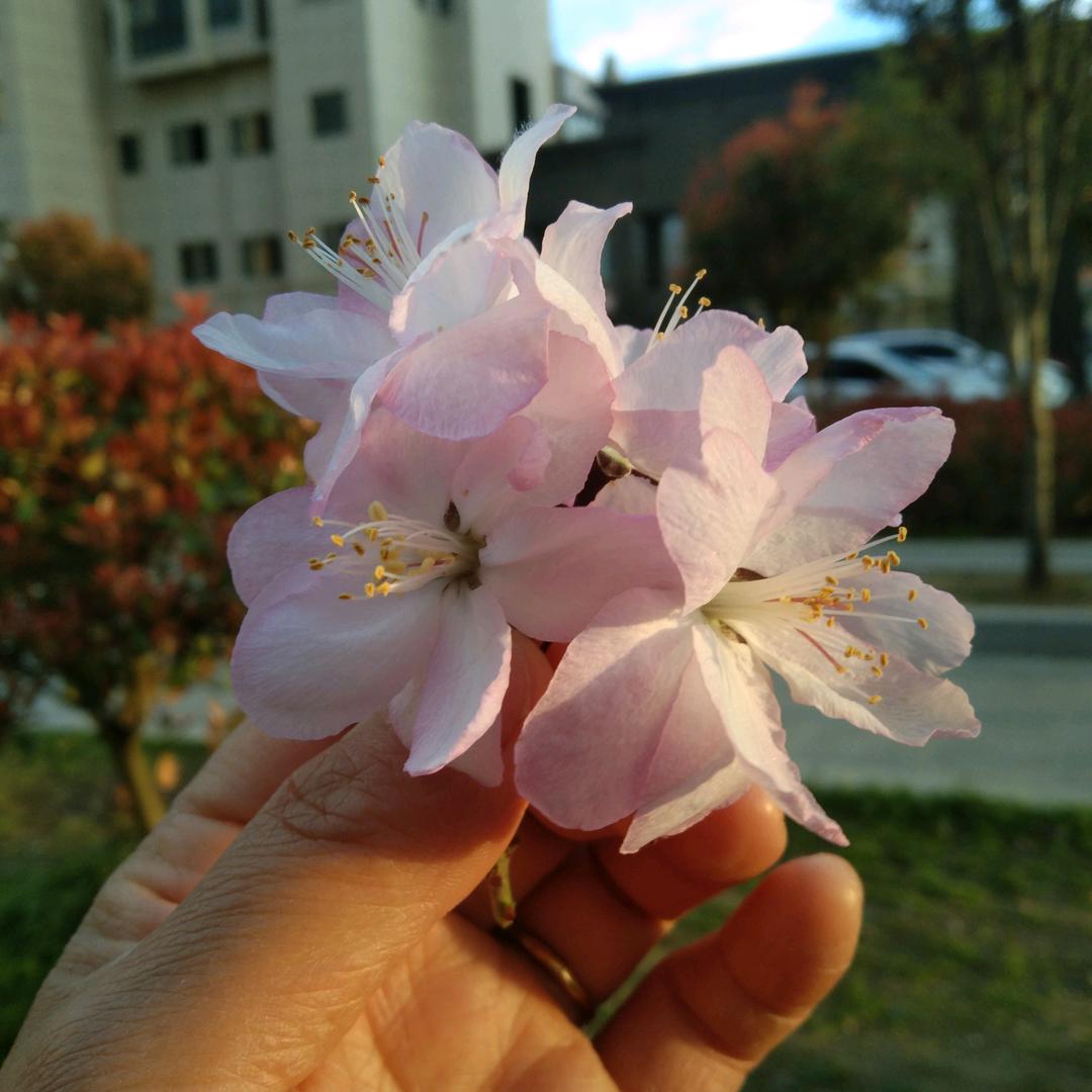 小伟伟拍日常
