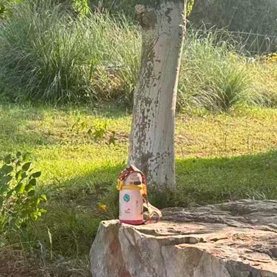 岁月痕
