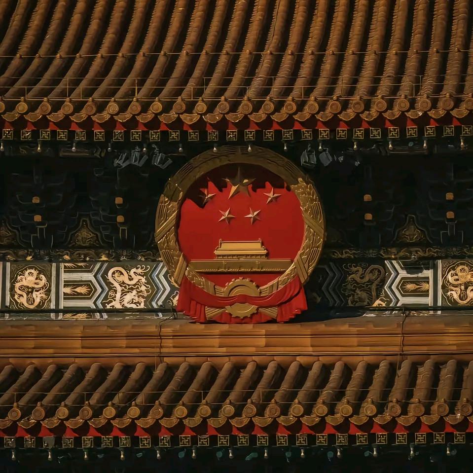 爱玩的小杨