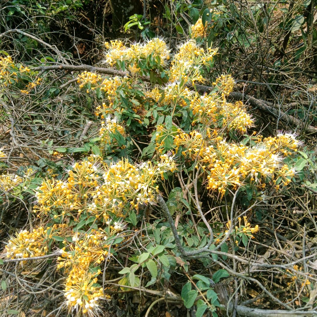 用户不存在的心1212289120945