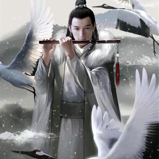 和平团团圆圆