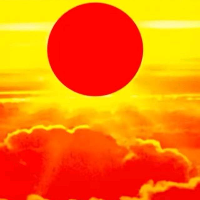 极地生灵