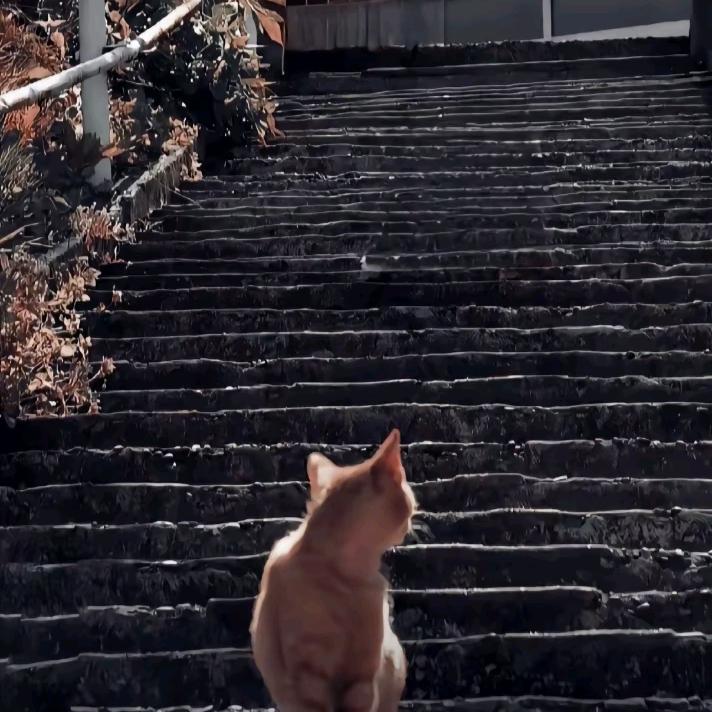 自己才是避风港