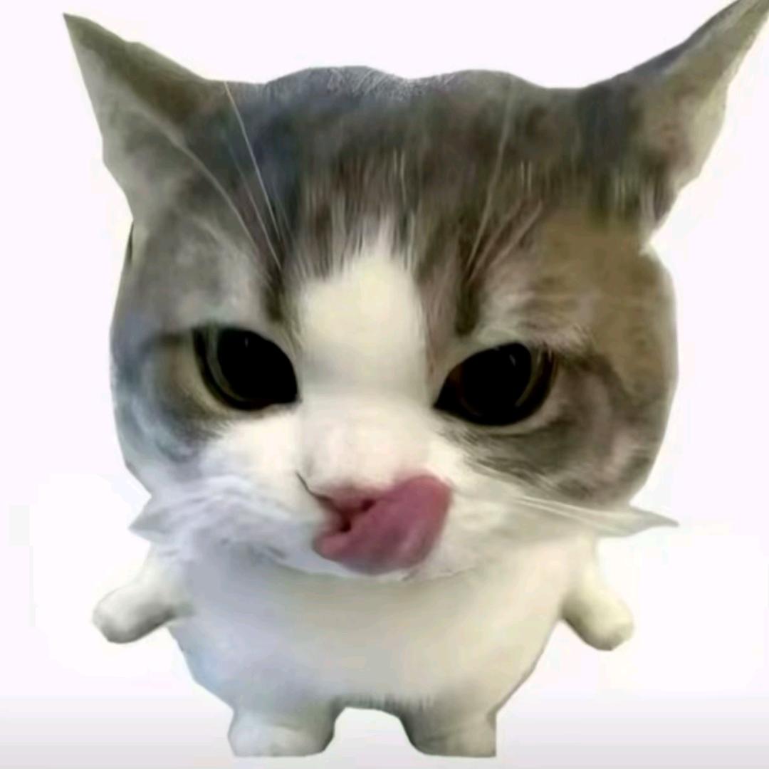 (ーー゛)