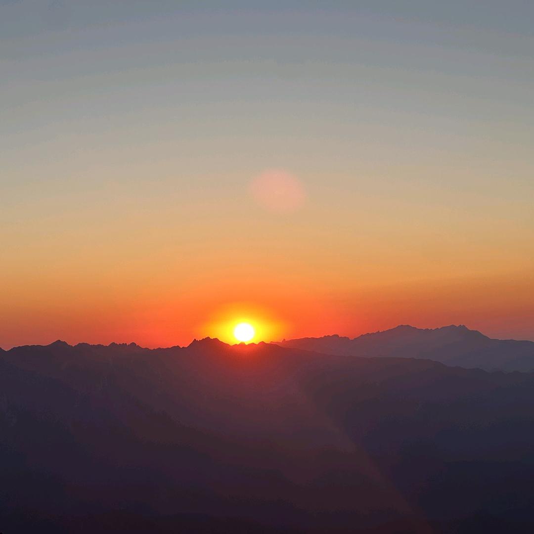 爆品饮料推荐官