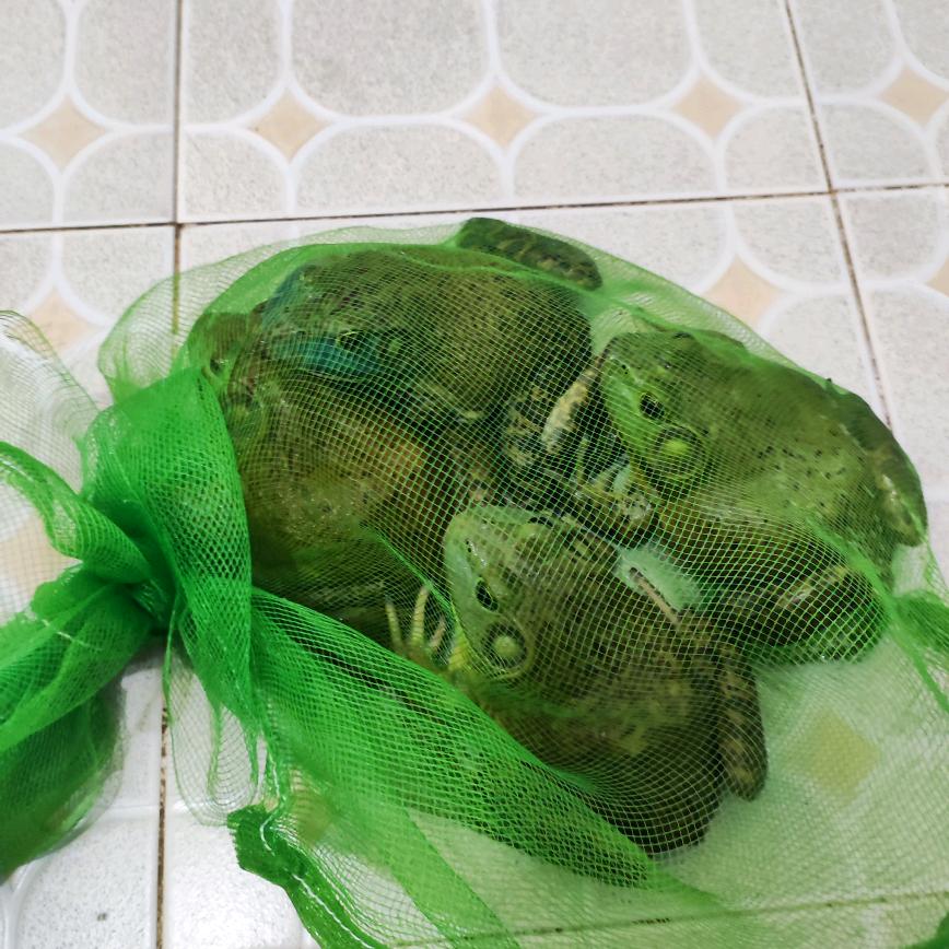 三戒