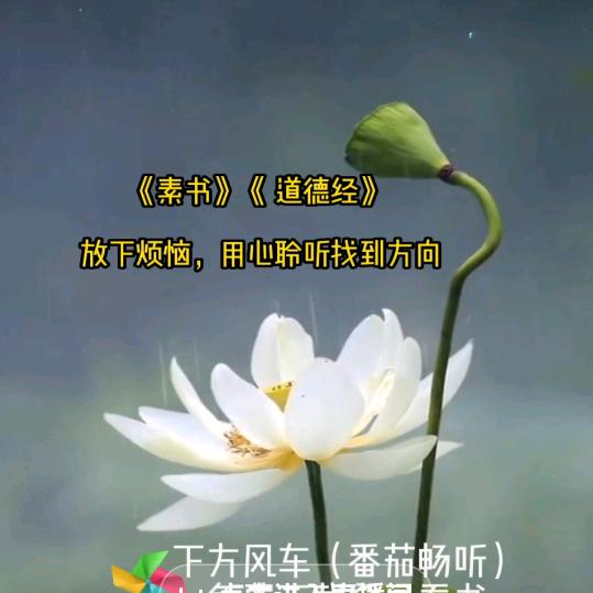 明月团购