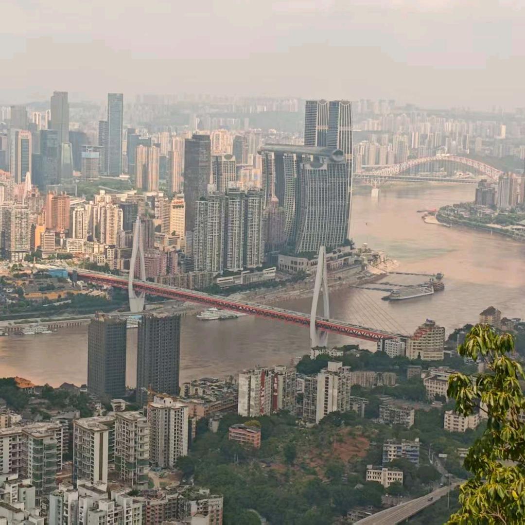 榆枫