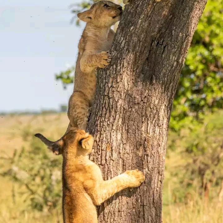 🇨🇳🇨🇳🇨🇳🇨🇳🇨🇳