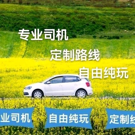 景德镇旅游包车韩城头像