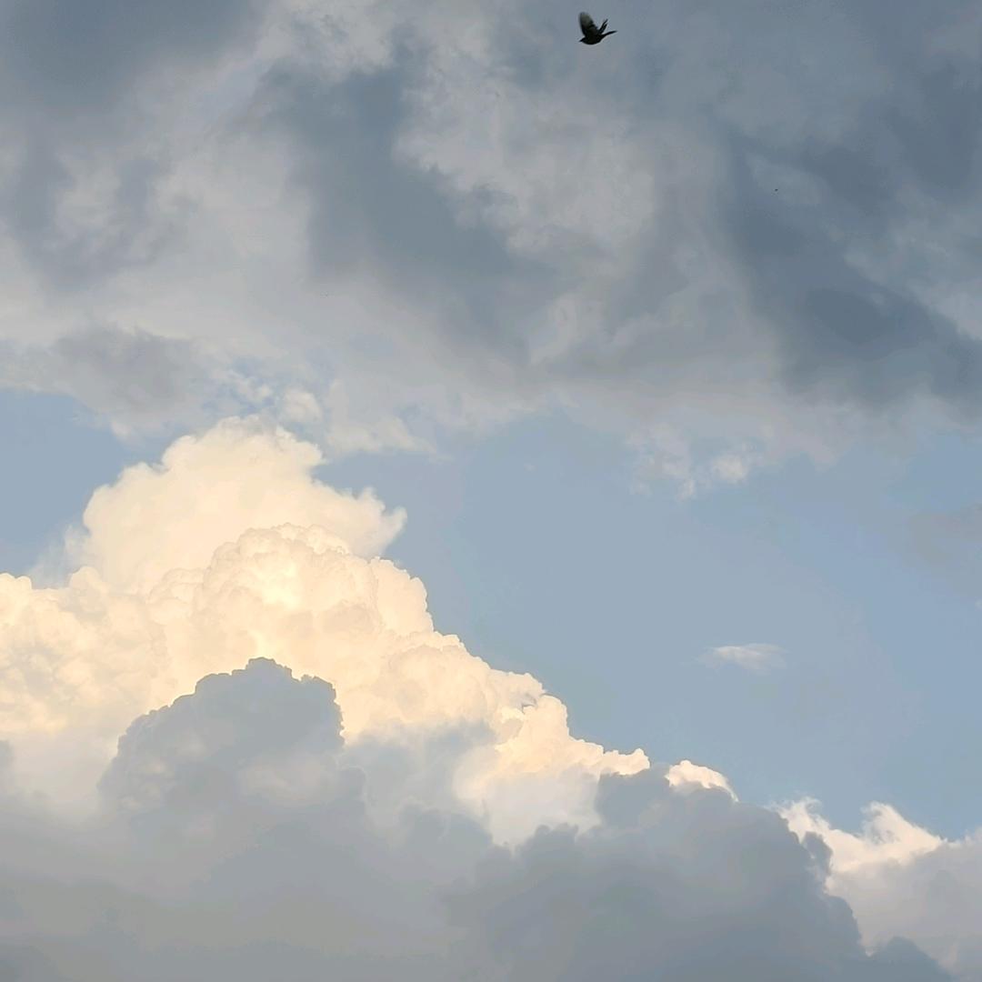 任丘市盈满网络工作室