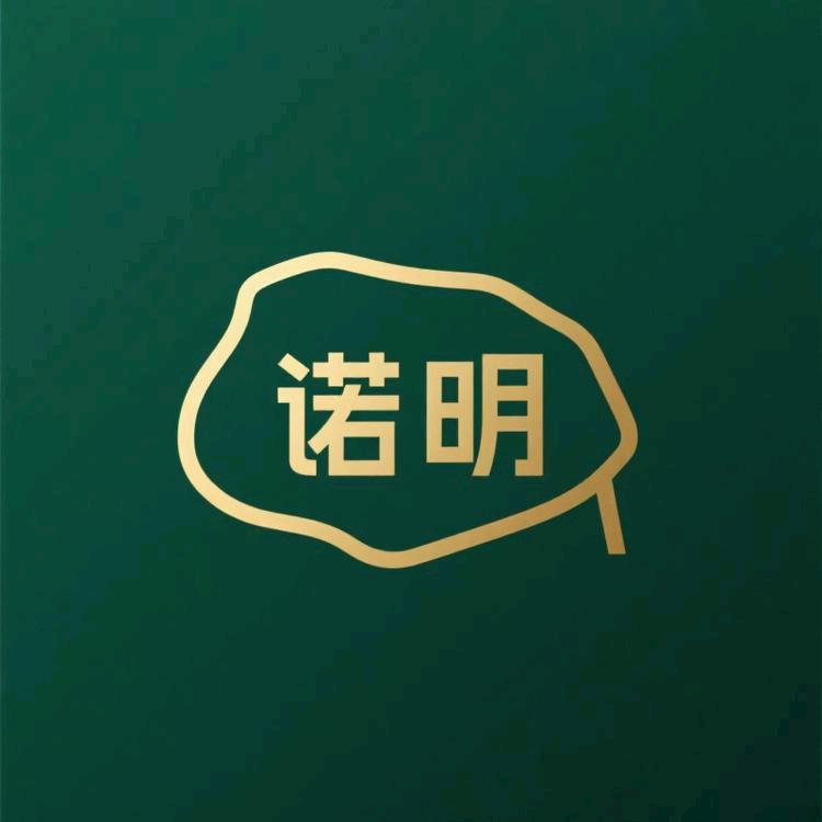 诺明轻奢岩板餐桌圆桌