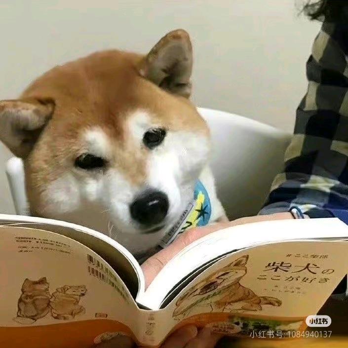 小光英语 ing