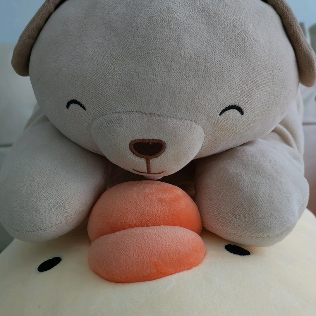 2207302403，带刺的玫瑰