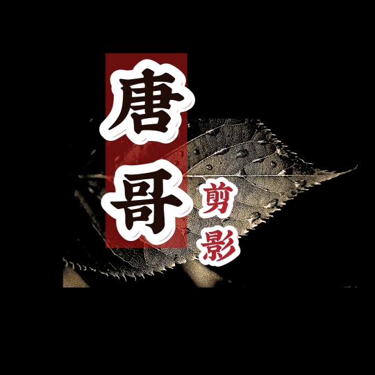 唐哥剪影