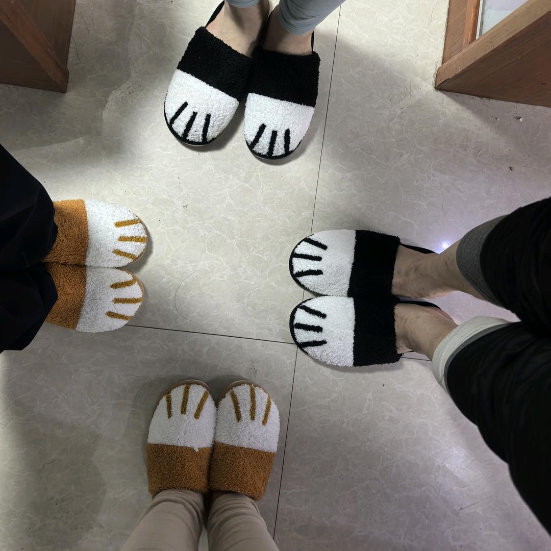 清风拂身雅崽猫、、