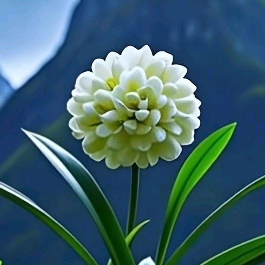 你若安好便是晴天