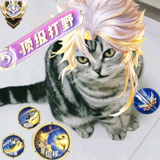 曜痴（市一曜）