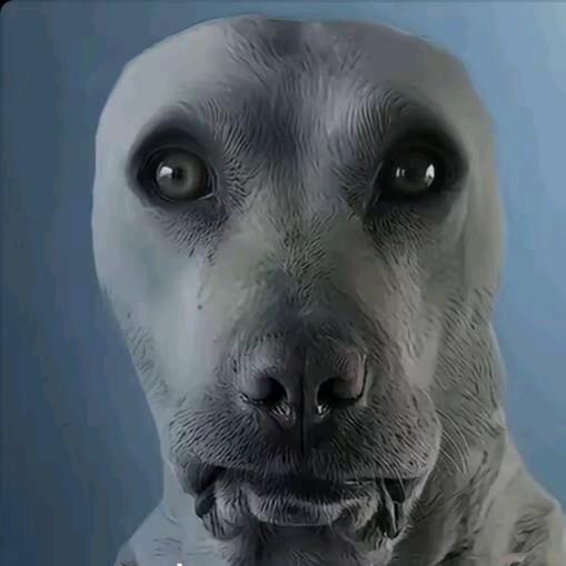 酷狗