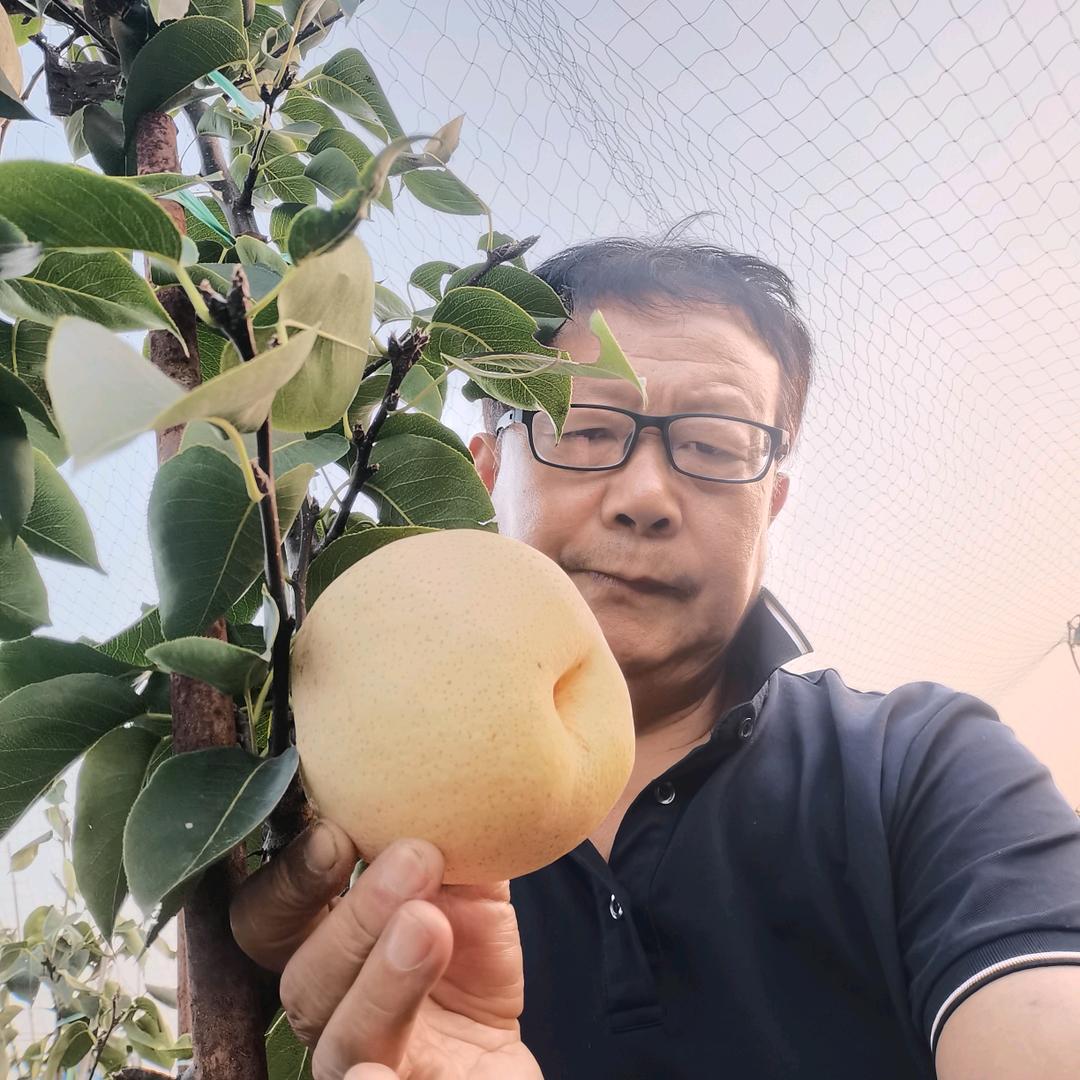 果树百事通