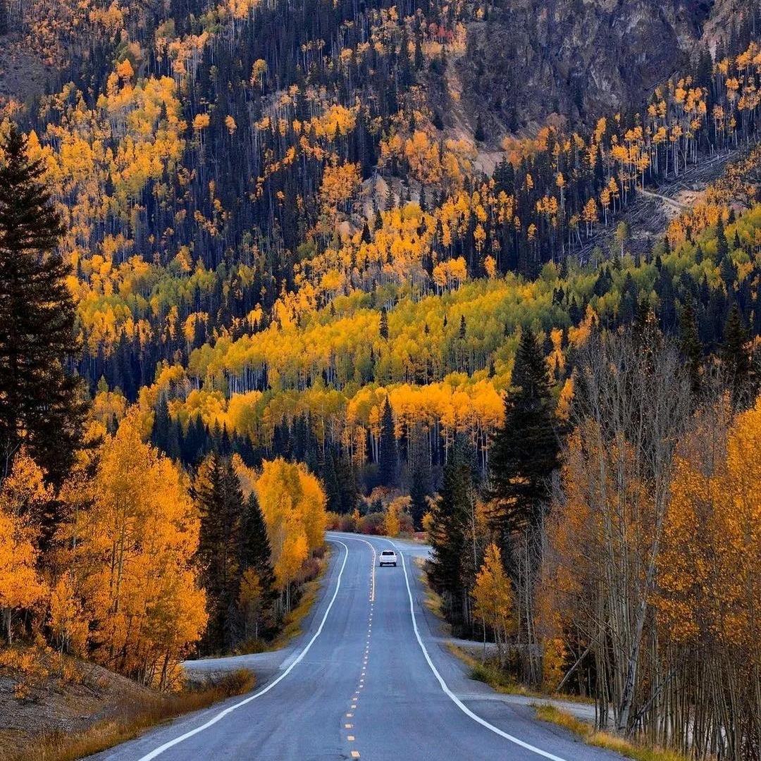 🌈今日甚好❤️‍🔥✨