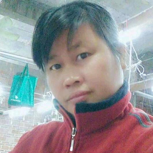 荭荭