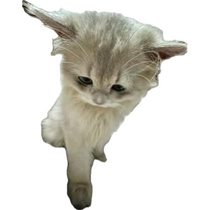 项项（三角洲效率代跑）