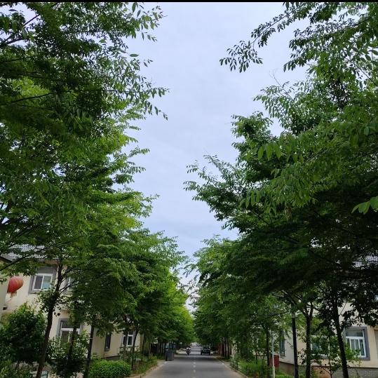 小胖子（请勿连赞 谢谢）