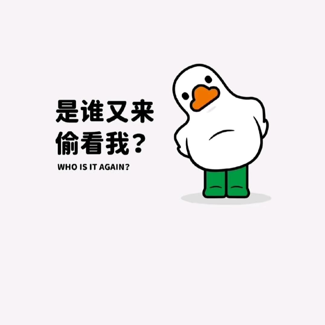 爱情公寓ⅷ
