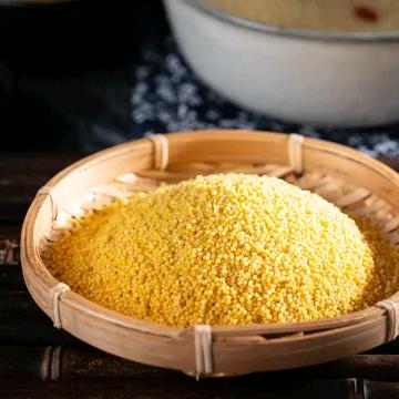 蒙原黄小米