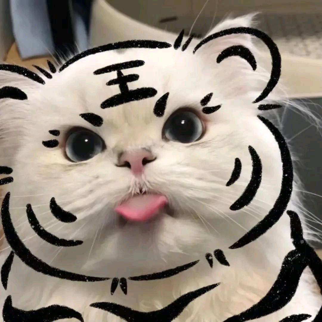 冉冉童梦