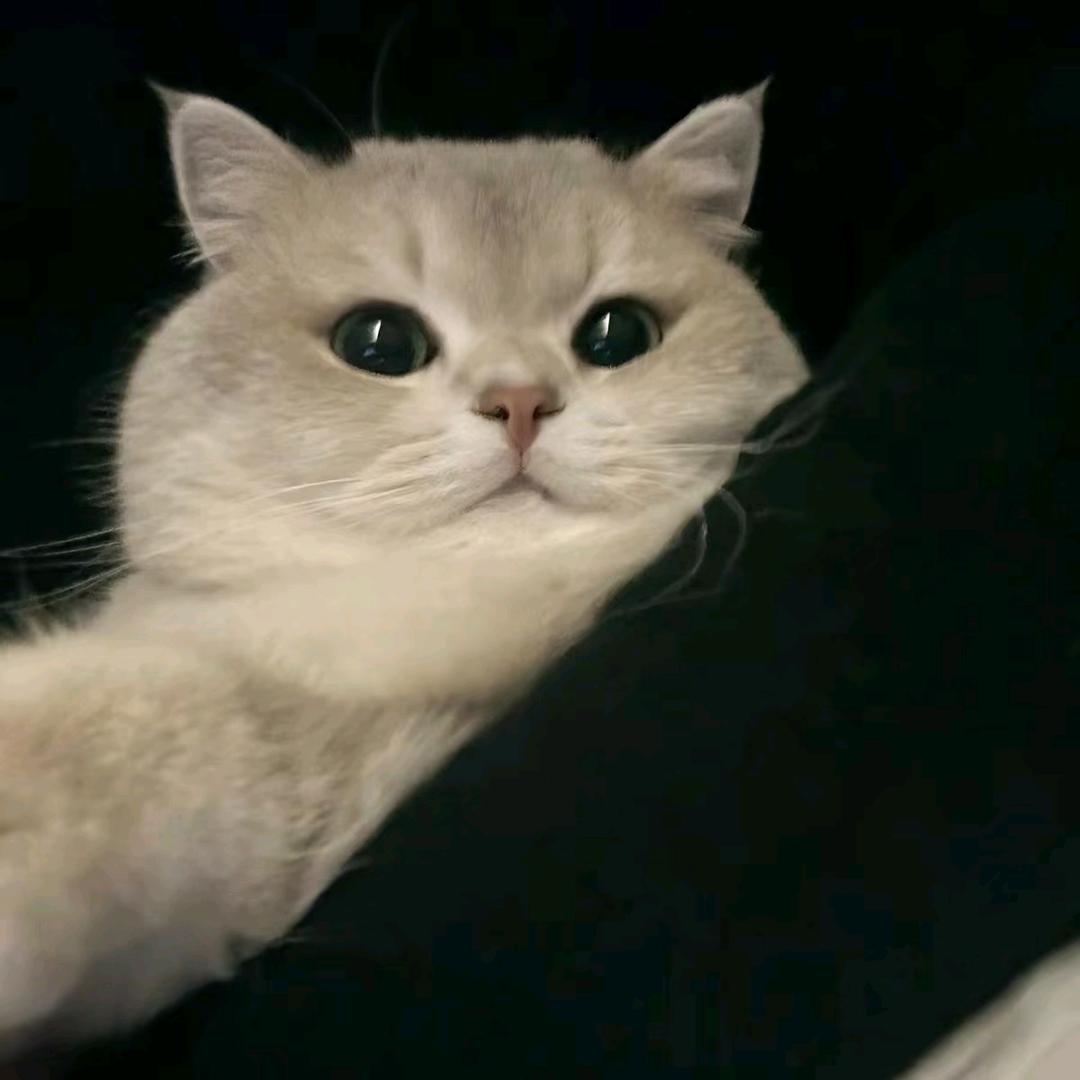 huan