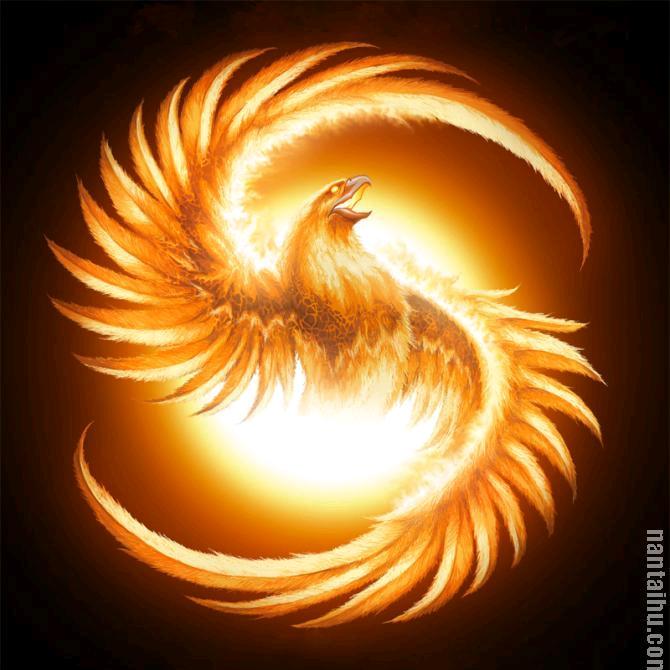 陪着地球出去浪