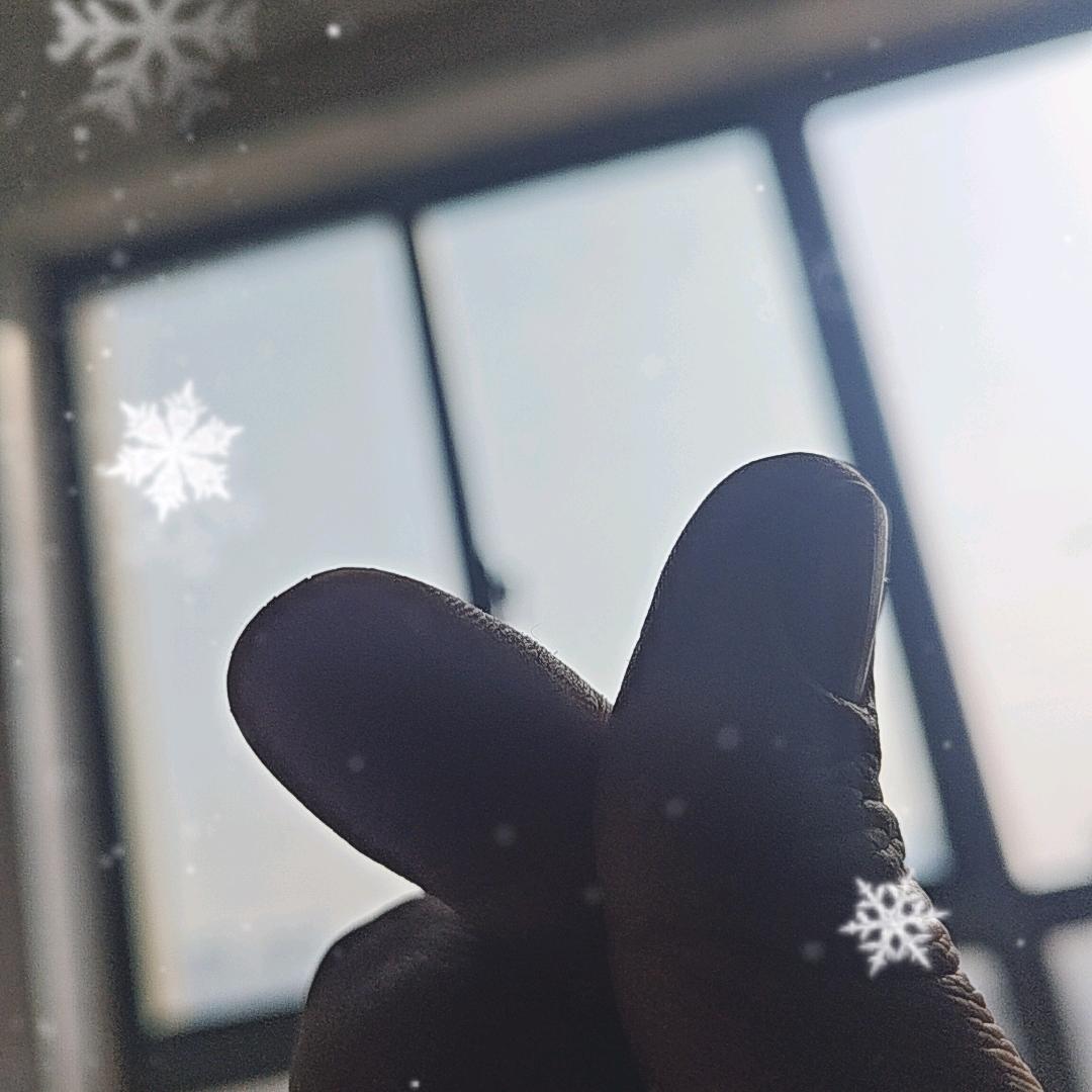 喜欢价值投资的妈宝男