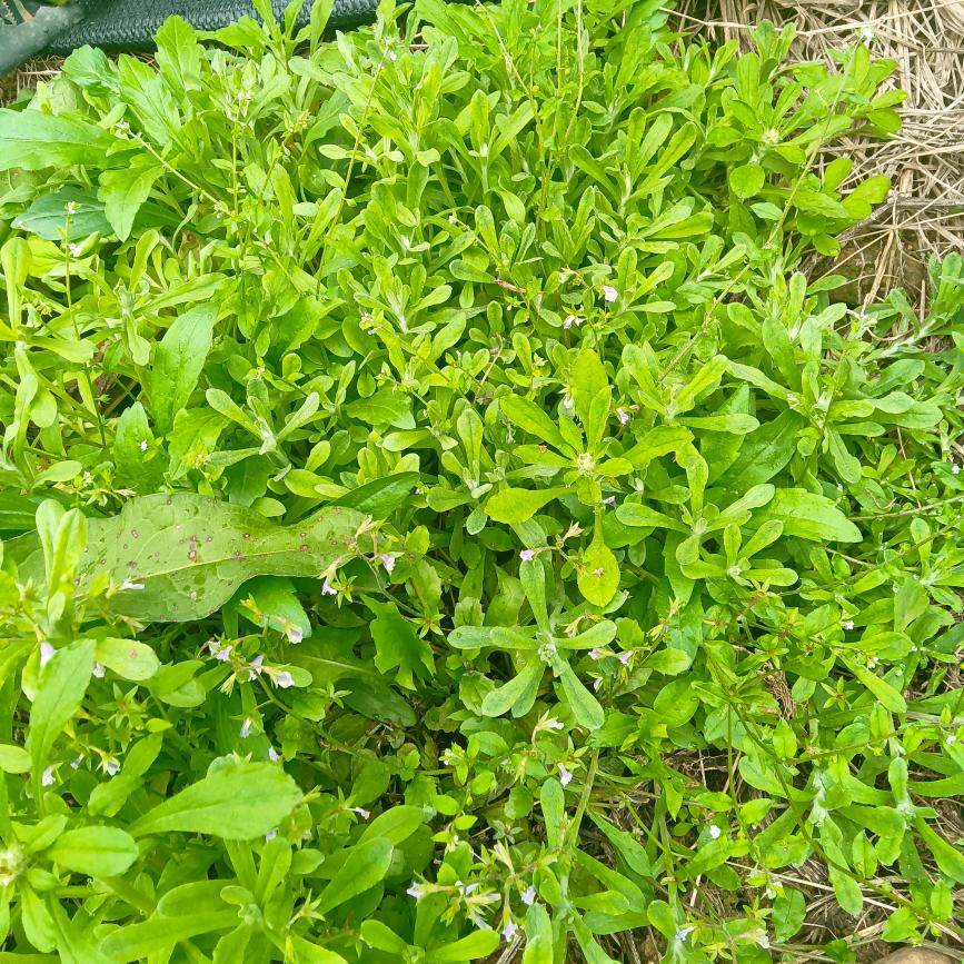 开心就行😊😊