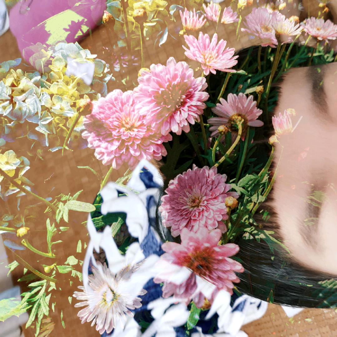 旭晴怡烨互粉