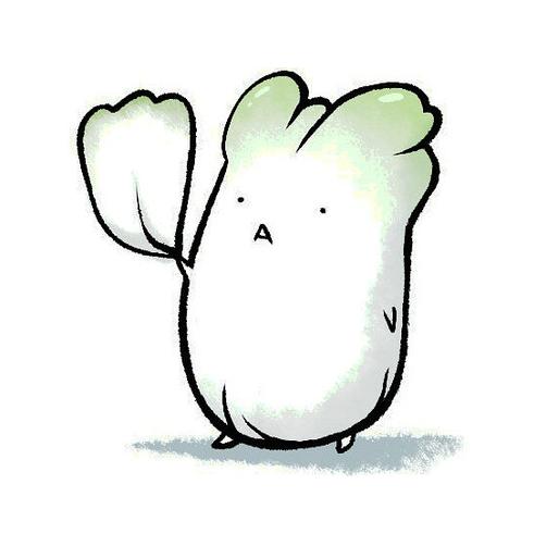 成都新创汇新能源汽车@大白菜