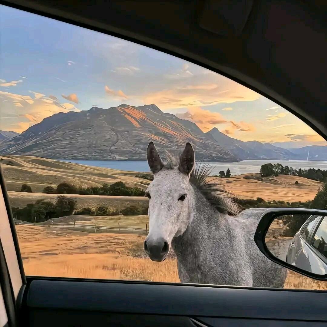 纳斯达克直通车