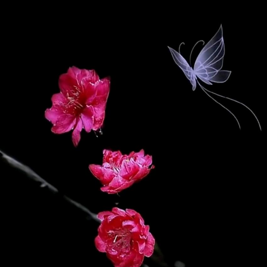 🐲芳心💞⁸²⁵