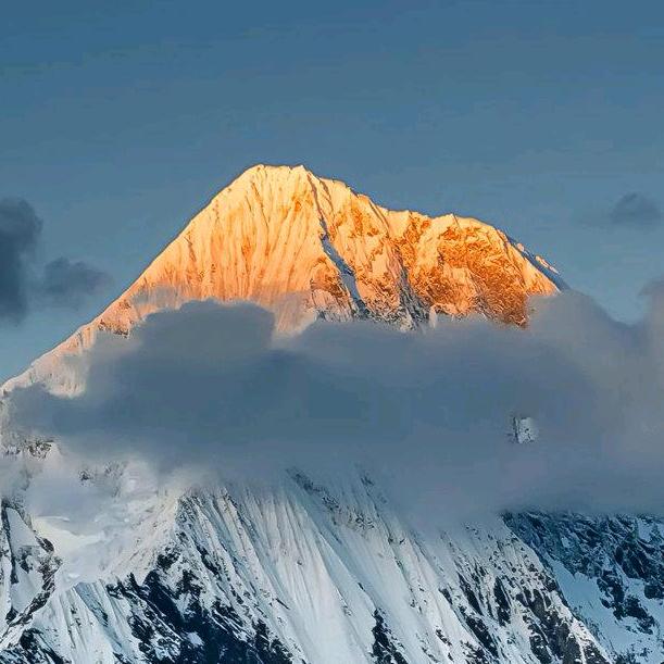 山