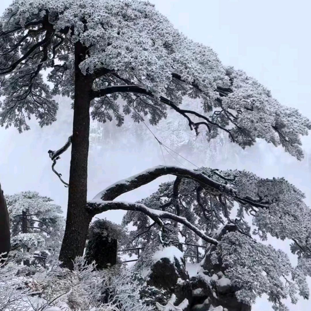疯狂⛷️🏂蜗牛🐌带你飞🚀……