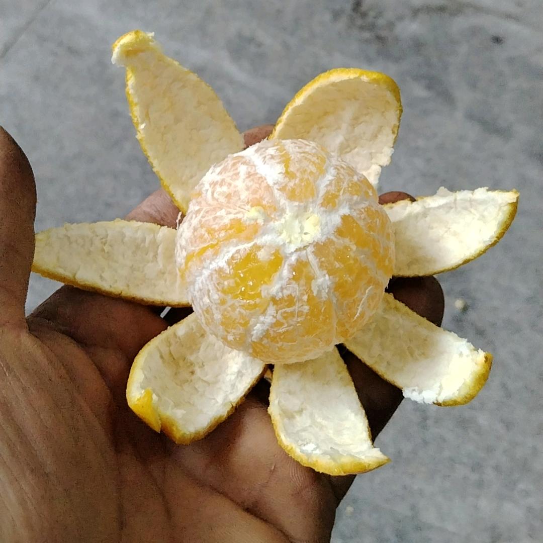 家常菜
