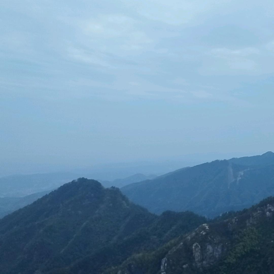 阳阳有余