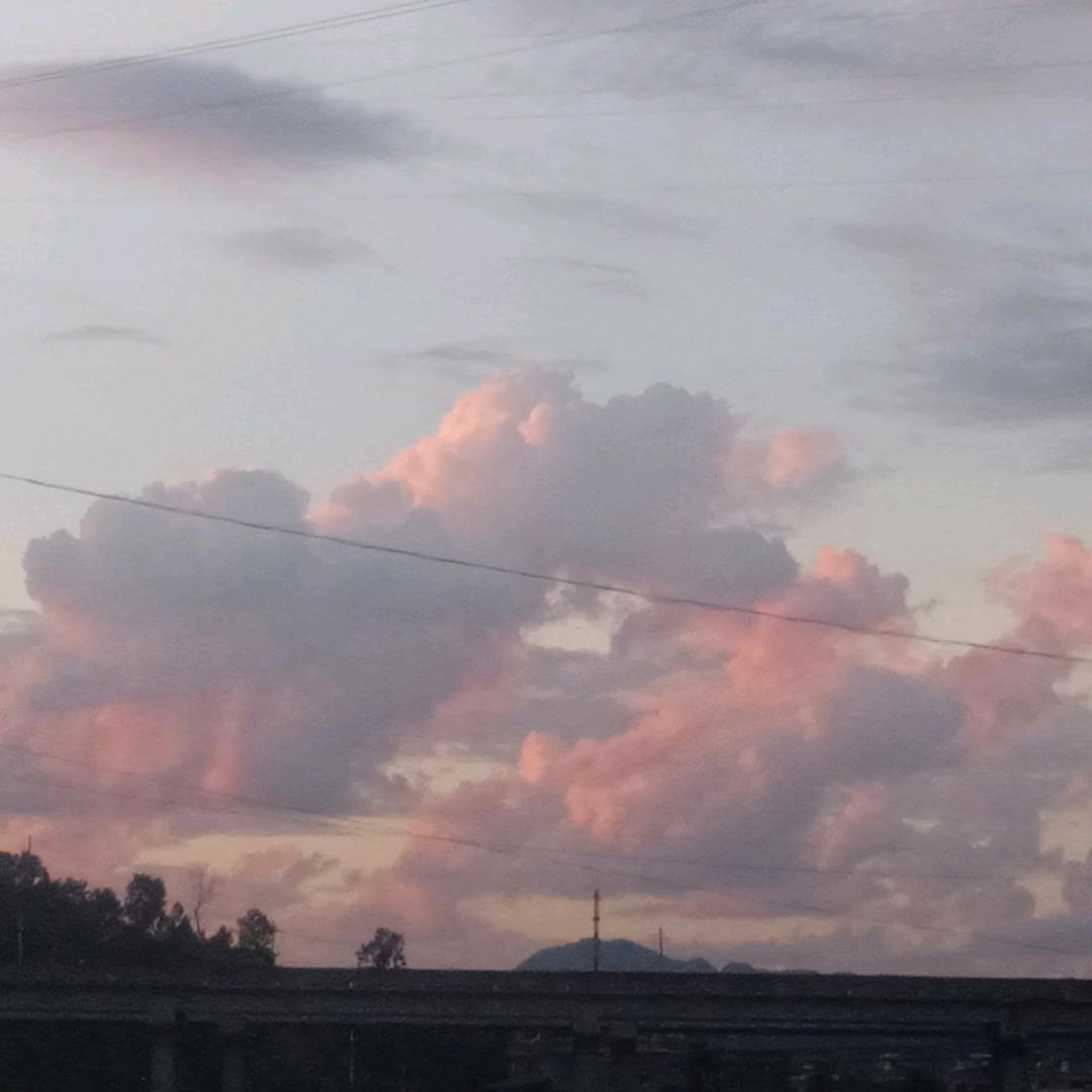 00后挖机驾驶员