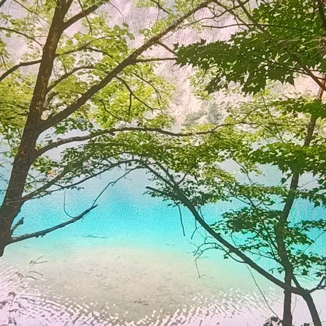 风景好的很哈哈