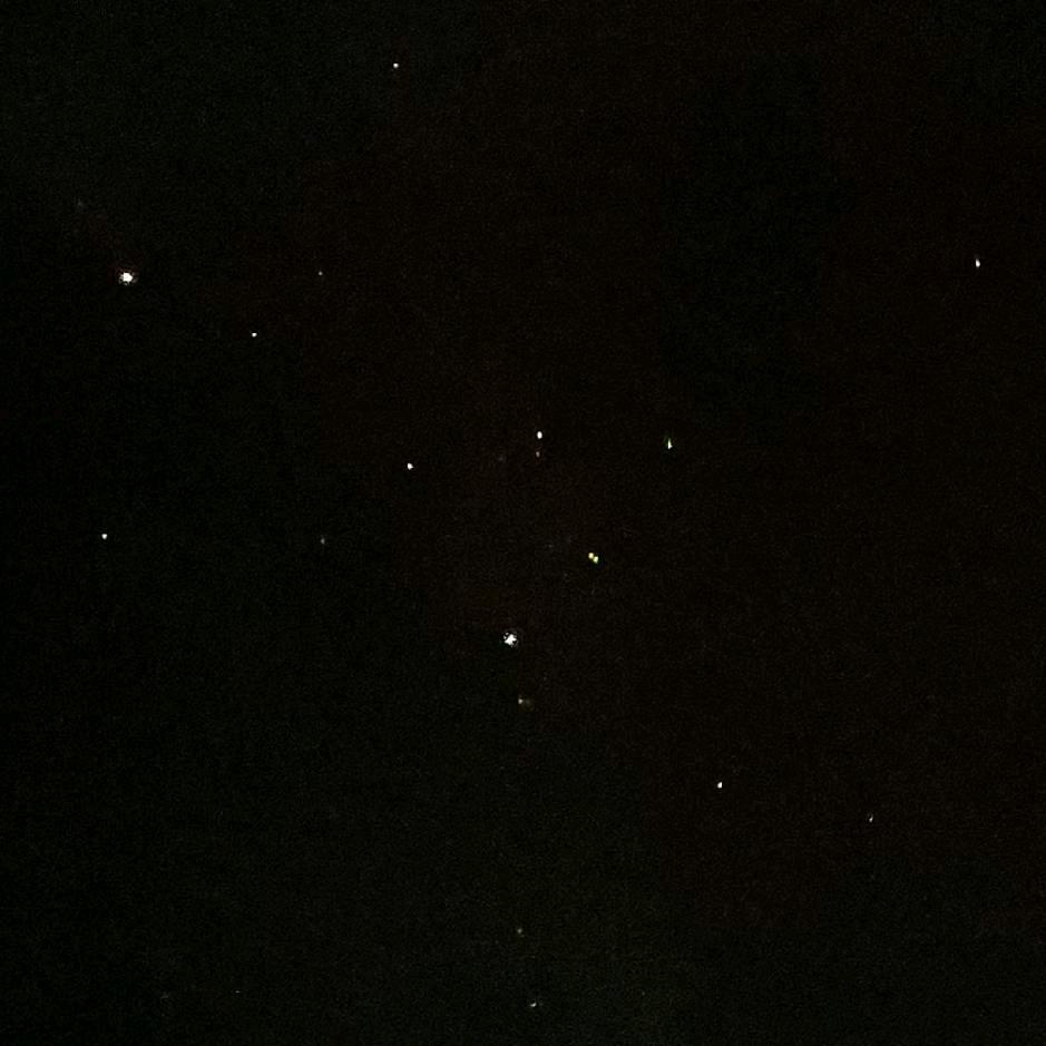 哥谭市的头目🤡