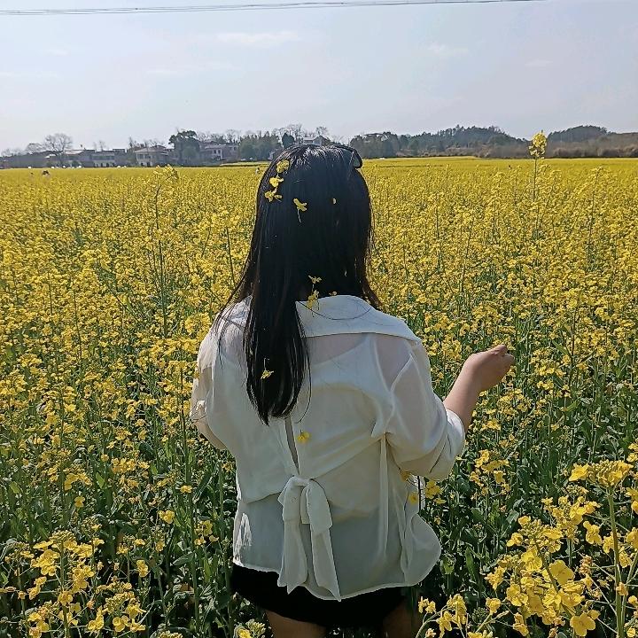 北海花