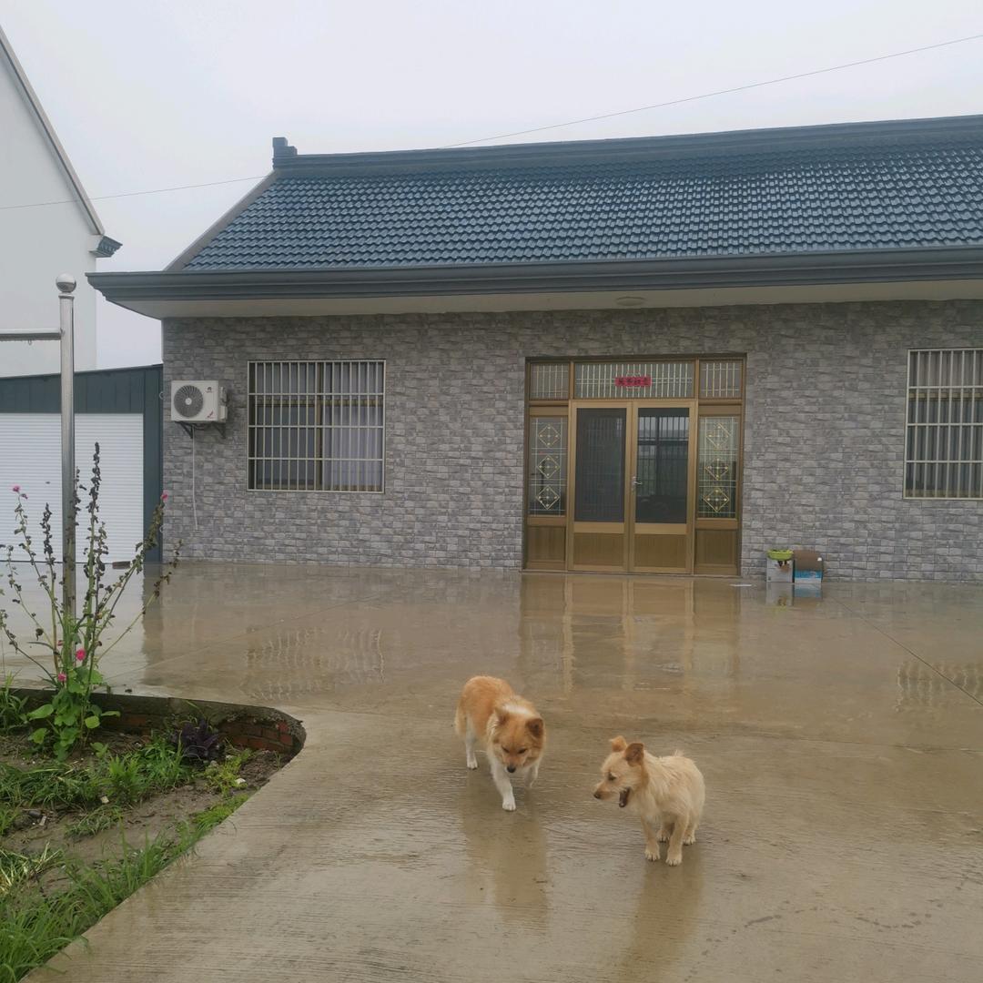 开心胖姐✌️✌️✌️✌️